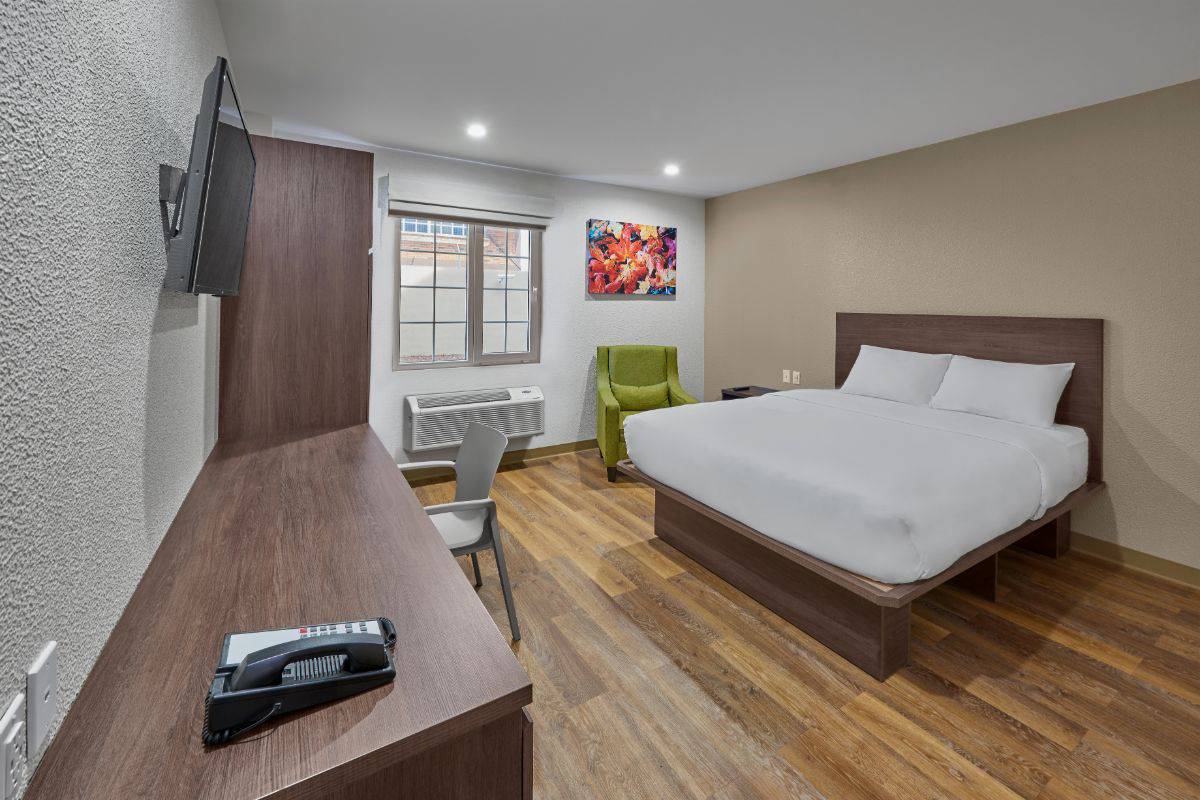 Single room Extended Suites Monterrey Airport Hotel